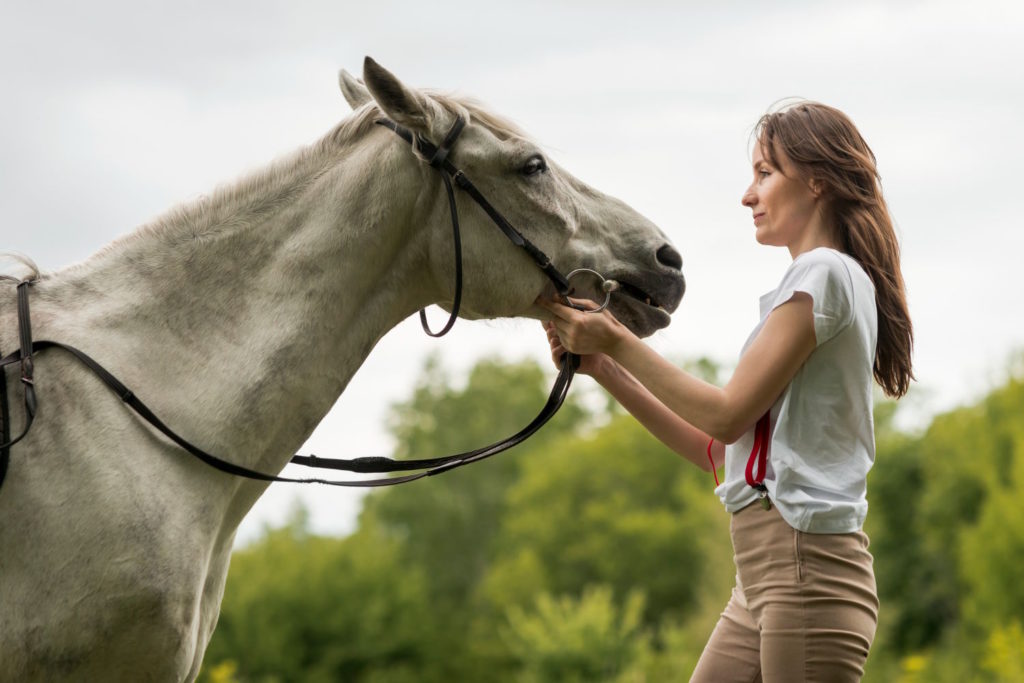 Trening koni jest niezbędny dla ich kondycji i rozwoju, jednak należy pamiętać o bezpieczeństwie zarówno konia, jak i jeźdźca